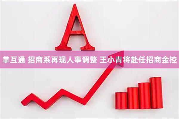掌互通 招商系再现人事调整 王小青将赴任招商金控