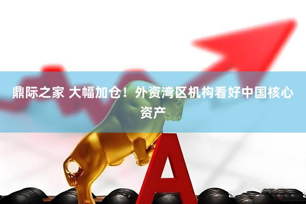 鼎际之家 大幅加仓！外资湾区机构看好中国核心资产